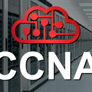 CCNA-WorkBook-00