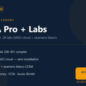 CCNA Pro + Labs — Accès complet